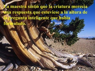 La maestra sintió que la criatura merecía una respuesta que estuviese a la altura de la pregunta inteligente que había formulado.  