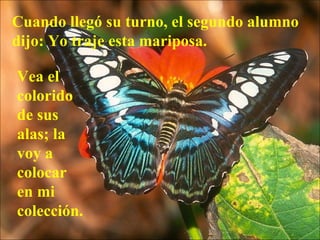 Cuando llegó su turno, el segundo alumno dijo: Yo traje esta mariposa.  Vea el colorido de sus alas; la voy a colocar en mi colección.   