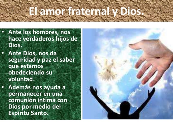 El amor fraternal El amor fraternal