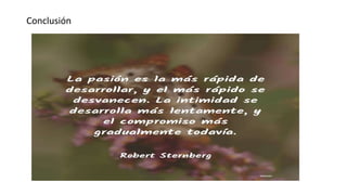 Conclusión
 