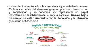 • La serotonina actúa sobre las emociones y el estado de ánimo.
Es la responsable del bienestar, genera optimismo, buen humor
y sociabilidad y es conocida por representar un papel
importante en la inhibición de la ira y la agresión. Niveles bajos
de serotonina están asociados con la depresión y la obsesión
(síntomas del desamor)
 