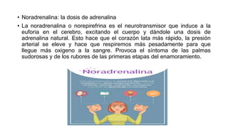 • Noradrenalina: la dosis de adrenalina
• La noradrenalina o norepirefrina es el neurotransmisor que induce a la
euforia en el cerebro, excitando el cuerpo y dándole una dosis de
adrenalina natural. Esto hace que el corazón lata más rápido, la presión
arterial se eleve y hace que respiremos más pesadamente para que
llegue más oxigeno a la sangre. Provoca el síntoma de las palmas
sudorosas y de los rubores de las primeras etapas del enamoramiento.
 