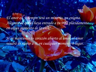 El amor es, y siempre será un misterio, un enigma. Alégrate de que él haya entrado a tu vida plácidamente en algún momento de la vida. Si tú mantienes tu corazón abierto al amor, el amor vendrá de nuevo a tí, en cualquier momento ó lugar. 