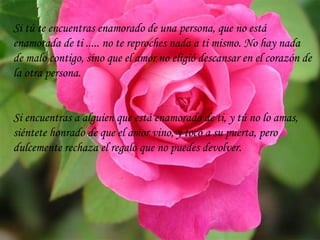 Si tú te encuentras enamorado de una persona, que no está enamorada de ti ..... no te reproches nada a ti mismo. No hay nada de malo contigo, sino que el amor no eligió descansar en el corazón de la otra persona. Si encuentras a alguien que está enamorado de ti, y tú no lo amas, siéntete honrado de que el amor vino, y tocó a su puerta, pero dulcemente rechaza el regalo que no puedes devolver. 