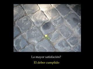 La mayor satisfación?  El deber cumplido 