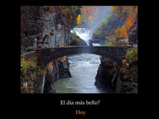 El día más bello?  Hoy 