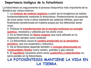 La fotosíntesis es seguramente el proceso bioquímico más importante de la
Biosfera por varios motivos:
1. La síntesis de materia orgánica a partir de la inorgánica se realiza
fundamentalmente mediante la fotosíntesis. Posteriormente irá pasando
de unos seres vivos a otros mediante las cadenas tróficas, para ser
finalmente transformada en materia propia por los diferentes seres
vivos.
2. Produce la transformación de la energía luminosa en energía
química, necesaria y utilizada por los seres vivos
3. En la fotosíntesis se libera oxígeno que será utilizado en la
respiración aerobia como oxidante.
4. La fotosíntesis causó el cambio producido en la atmósfera
primitiva, que era anaerobia y reductora.
5. De la fotosíntesis depende también la energía almacenada en
combustibles fósiles como carbón, petróleo y gas natural.
6. El equilibrio necesario entre seres autótrofos y heterótrofos no
sería posible sin la fotosíntesis.
LA FOTOSÍNTESIS MANTIENE LA VIDA EN
LA TIERRA.
Importancia biológica de la fotosíntesis
 
