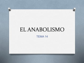 EL ANABOLISMO
TEMA 14
 