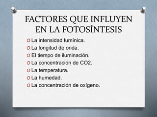 FACTORES QUE INFLUYEN
EN LA FOTOSÍNTESIS
O La intensidad lumínica.
O La longitud de onda.
O El tiempo de iluminación.
O La concentración de CO2.
O La temperatura.
O La humedad.
O La concentración de oxígeno.
 