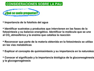 ¿Qué se suele preguntar?
 Importancia de la fotolisis del agua
 Identificar sustratos y productos que intervienen en las fases de la
fotosíntesis y su balance energético. Identificar la molécula que se une
al CO2 atmosférico y la enzima que cataliza la reacción
 Reconocer que parte de la materia obtenida en la fotosíntesis se utiliza
en las vías metabólicas
 Explicar el concepto de quimiosíntesis y su importancia en la naturaleza
 Conocer el significado y la importancia biológica de la gluconeogénesis
y la glucogenogénesis
CONSIDERACIONES SOBRE LA PAU
 