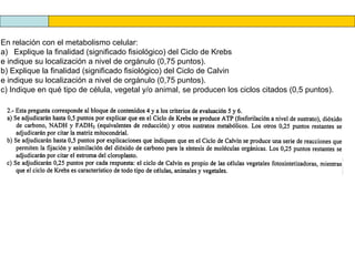 En relación con el metabolismo celular:
a) Explique la finalidad (significado fisiológico) del Ciclo de Krebs
e indique su localización a nivel de orgánulo (0,75 puntos).
b) Explique la finalidad (significado fisiológico) del Ciclo de Calvin
e indique su localización a nivel de orgánulo (0,75 puntos).
c) Indique en qué tipo de célula, vegetal y/o animal, se producen los ciclos citados (0,5 puntos).
 