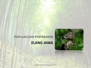POPULASI DAN PENYEBARAN
          ELANG JAWA




            presentasioke.blogspot.com
 