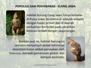 POPULASI DAN PENYEBARAN - ELANG JAWA

            Habitat burung Elang Jawa hanya terbatas
            di Pulau Jawa, terutama di wilayah-wilayah
            dengan hutan primer dan di daerah
            perbukitan berhutan pada peralihan
            dataran rendah dengan pegunungan.


      Bahkan saat ini, habitat burung ini
   semakin menyempit akibat minimnya
 ekosistem hutan akibat perusakan oleh
manusia, dampak pemanasan global, dan
                       dampak pestisida.

                  presentasioke.blogspot.com
 