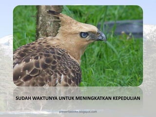 SUDAH WAKTUNYA UNTUK MENINGKATKAN KEPEDULIAN

               presentasioke.blogspot.com
 