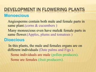 DEVELOPMENT IN FLOWERING PLANTS
Monoecious
Angiosperms contain both male and female parts in
same plant.(corns & cucumbers )
Many monoecious even have male& female parts in
same flower.(Apples, plums and tomatoes )
Dioecious
In this plants, the male and females organs are on
different individuals (Date palms and Figs ).
Some individuals are male (pollen produces).
Some are females (fruit producers).
 