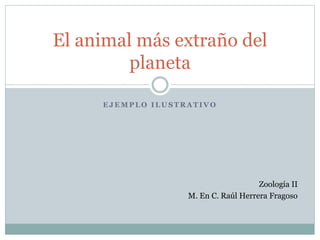 E J E M P L O I L U S T R A T I V O
El animal más extraño del
planeta
Zoología II
M. En C. Raúl Herrera Fragoso
 