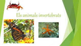 Els animals invertebrats
 