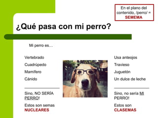 ¿Qué pasa con mi perro?
Mi perro es…
Vertebrado
Cuadrúpedo
Mamífero
Cánido
________________
Sino, NO SERÍA
PERRO!
Estos son semas
NUCLEARES
Usa anteojos
Travieso
Juguetón
Un dulce de leche
________________
Sino, no sería MI
PERRO!
Estos son
CLASEMAS
En el plano del
contenido, /perro/ =
SEMEMA
 
