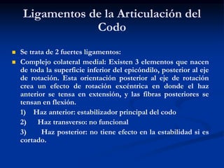 Ligamentos de la Articulación del
Codo
 Se trata de 2 fuertes ligamentos:
 Complejo colateral medial: Existen 3 elementos que nacen
de toda la superficie inferior del epicóndilo, posterior al eje
de rotación. Esta orientación posterior al eje de rotación
crea un efecto de rotación excéntrica en donde el haz
anterior se tensa en extensión, y las fibras posteriores se
tensan en flexión.
1) Haz anterior: estabilizador principal del codo
2) Haz transverso: no funcional
3) Haz posterior: no tiene efecto en la estabilidad si es
cortado.
 