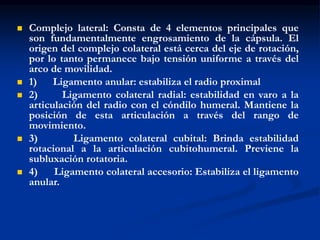  Complejo lateral: Consta de 4 elementos principales que
son fundamentalmente engrosamiento de la cápsula. El
origen del complejo colateral está cerca del eje de rotación,
por lo tanto permanece bajo tensión uniforme a través del
arco de movilidad.
 1) Ligamento anular: estabiliza el radio proximal
 2) Ligamento colateral radial: estabilidad en varo a la
articulación del radio con el cóndilo humeral. Mantiene la
posición de esta articulación a través del rango de
movimiento.
 3) Ligamento colateral cubital: Brinda estabilidad
rotacional a la articulación cubitohumeral. Previene la
subluxación rotatoria.
 4) Ligamento colateral accesorio: Estabiliza el ligamento
anular.
 