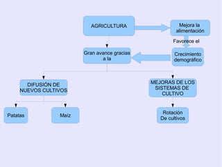 AGRICULTURA                    Mejora la
                                                        alimentación

                                                      Favorece el

                        Gran avance gracias            Crecimiento
                               a la                    demográfico



       DIFUSIÓN DE                            MEJORAS DE LOS
     NUEVOS CULTIVOS                           SISTEMAS DE
                                                  CULTIVO


                                                  Rotación
Patatas          Maíz
                                                 De cultivos
 