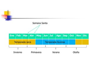 Semana Santa 
Ene Feb Mar Abr May Jun Jul Ago Sep Oct Nov Dic 
Temporada seca Temporada lluviosa 
Invierno Primavera Verano Otoño 
 