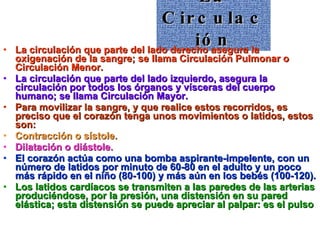 La Circulación La circulación que parte del lado derecho asegura la oxigenación de la sangre; se llama Circulación Pulmonar o Circulación Menor. La circulación que parte del lado izquierdo, asegura la circulación por todos los órganos y vísceras del cuerpo humano; se llama Circulación Mayor. Para movilizar la sangre, y que realice estos recorridos, es preciso que el corazón tenga unos movimientos o latidos, estos son: Contracción o sístole.  Dilatación o diástole.  El corazón actúa como una bomba aspirante-impelente, con un número de latidos por minuto de 60-80 en el adulto y un poco más rápido en el niño (80-100) y más aún en los bebés (100-120). Los latidos cardíacos se transmiten a las paredes de las arterias produciéndose, por la presión, una distensión en su pared elástica; esta distensión se puede apreciar al palpar: es el pulso 