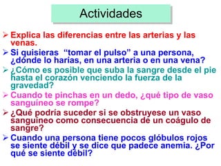 Actividades Explica las diferencias entre las arterias y las venas.   Si quisieras  “tomar el pulso” a una persona, ¿dónde lo harías, en una arteria o en una vena?   ¿Cómo es posible que suba la sangre desde el pie hasta el corazón venciendo la fuerza de la gravedad?   Cuando te pinchas en un dedo, ¿qué tipo de vaso sanguíneo se rompe?   ¿Qué podría suceder si se obstruyese un vaso sanguíneo como consecuencia de un coágulo de sangre? Cuando una persona tiene pocos glóbulos rojos se siente débil y se dice que padece anemia. ¿Por qué se siente débil? 