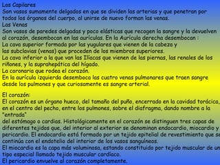 Los Capilares Son vasos sumamente delgados en que se dividen las arterias y que penetran por  todos los órganos del cuerpo, al unirse de nuevo forman las venas. Las Venas Son vasos de paredes delgadas y poco elásticas que recogen la sangre y la devuelven  al corazón, desembocan en las aurículas. En la Aurícula derecha desembocan : La cava superior formada por las yugulares que vienen de la cabeza y  las subclavias (venas) que proceden de los miembros superiores. La cava inferior a la que van las Ilíacas que vienen de las piernas, las renales de los  riñones, y la suprahepática del hígado. La coronaria que rodea el corazón. En la aurícula izquierda desemboca las cuatro venas pulmonares que traen sangre  desde los pulmones y que curiosamente es sangre arterial. El corazón: El corazón es un órgano hueco, del tamaño del puño, encerrado en la cavidad torácica,  en el centro del pecho, entre los pulmones, sobre el diafragma, dando nombre a la "entrada“ del estómago o cardias. Histológicamente en el corazón se distinguen tres capas de  diferentes tejidos que, del interior al exterior se denominan endocardio, miocardio y  pericardio. El endocardio está formado por un tejido epitelial de revestimiento que se  continúa con el endotelio del interior de los vasos sanguíneos.  El miocardio es la capa más voluminosa, estando constituido por tejido muscular de un  tipo especial llamado tejido muscular cardíaco.  El pericardio envuelve al corazón completamente.  
