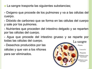    La sangre trasporta las siguientes substancias;

- Oxigeno que procede de los pulmones y va a las células del
cuerpo.
- Dióxido de carboneo que se forma en las células del cuerpo
y sale por los pulmones.
- Nutrientes que proceden del intestino delgado y se reparten
por las células del cuerpo.
- Agua que procede del intestino grueso y se reparte por
todas las células del cuerpo.
- Desechos producidos por las
células y que van a los riñones
para ser eliminados.
 