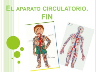 EL APARATO CIRCULATORIO.
          FIN
 