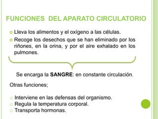 FUNCIONES DEL APARATO CIRCULATORIO
 Lleva los alimentos y el oxígeno a las células.
 Recoge los desechos que se han eliminado por los
  riñones, en la orina, y por el aire exhalado en los
  pulmones.



    Se encarga la SANGRE: en constante circulación.
Otras funciones;

o Interviene en las defensas del organismo.
o Regula la temperatura corporal.
o Transporta hormonas.
 