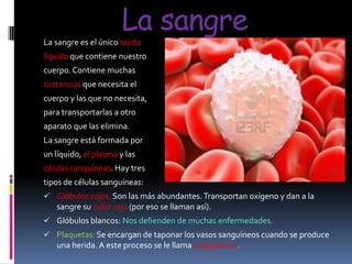 La sangre
La sangre es el único tejido
líquido que contiene nuestro

cuerpo. Contiene muchas
sustancias que necesita el
cuerpo y las que no necesita,
para transportarlas a otro
aparato que las elimina.
La sangre está formada por
un líquido, el plasma y las
células sanguíneas. Hay tres
tipos de células sanguíneas:
 Glóbulos rojos: Son las más abundantes. Transportan oxígeno y dan a la
sangre su color rojo (por eso se llaman así).
 Glóbulos blancos: Nos defienden de muchas enfermedades.
 Plaquetas: Se encargan de taponar los vasos sanguíneos cuando se produce

una herida. A este proceso se le llama coagulación.

 