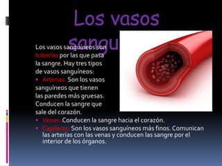 Los vasos
sanguíneos

Los vasos sanguíneos son
tuberías por las que pasa
la sangre. Hay tres tipos
de vasos sanguíneos:
 Arterias: Son los vasos
sanguíneos que tienen
las paredes más gruesas.
Conducen la sangre que
sale del corazón.
 Venas: Conducen la sangre hacia el corazón.
 Capilares: Son los vasos sanguíneos más finos. Comunican
las arterias con las venas y conducen las sangre por el
interior de los órganos.

 