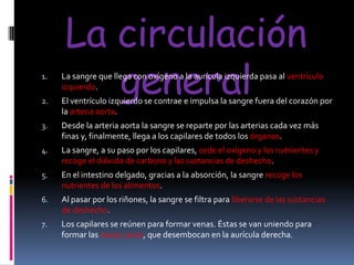 La circulación
general

1.

La sangre que llega con oxígeno a la aurícula izquierda pasa al ventrículo
izquierdo.

2.

El ventrículo izquierdo se contrae e impulsa la sangre fuera del corazón por
la arteria aorta.

3.

Desde la arteria aorta la sangre se reparte por las arterias cada vez más
finas y, finalmente, llega a los capilares de todos los órganos.

4.

La sangre, a su paso por los capilares, cede el oxígeno y los nutrientes y
recoge el dióxido de carbono y las sustancias de deshecho.

5.

En el intestino delgado, gracias a la absorción, la sangre recoge los
nutrientes de los alimentos.

6.

Al pasar por los riñones, la sangre se filtra para liberarse de las sustancias
de deshecho.

7.

Los capilares se reúnen para formar venas. Éstas se van uniendo para
formar las venas cavas, que desembocan en la aurícula derecha.

 