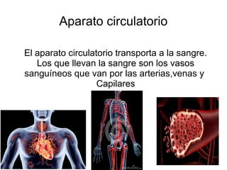 Aparato circulatorio
El aparato circulatorio transporta a la sangre.
Los que llevan la sangre son los vasos
sanguíneos que van por las arterias,venas y
Capilares
 