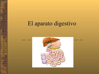 El aparato digestivo 
