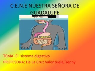 C.E.N.E NUESTRA SEÑORA DE GUADALUPE TEMA: El  sistema digestivo PROFESORA: De La Cruz Valenzuela, Yenny 