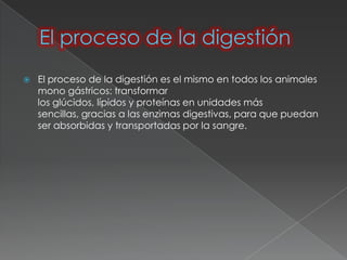    El proceso de la digestión es el mismo en todos los animales
    mono gástricos: transformar
    los glúcidos, lípidos y proteínas en unidades más
    sencillas, gracias a las enzimas digestivas, para que puedan
    ser absorbidas y transportadas por la sangre.
 