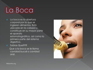  La boca es la abertura
  corporal por la que se
  ingieren alimentos. Está
  ubicada en la cabeza y
  constituye en su mayor parte
  el aparato
  estomatognático, así como la
  primera parte del sistema
  digestivo.
 Sabias Que???
  Que a la boca se le llama
  cavidad bucal o cavidad
  oral.


Wikipedia.org
 