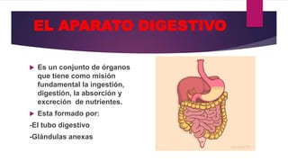 EL APARATO DIGESTIVO
 Es un conjunto de órganos
que tiene como misión
fundamental la ingestión,
digestión, la absorción y
excreción de nutrientes.
 Esta formado por:
-El tubo digestivo
-Glándulas anexas
 