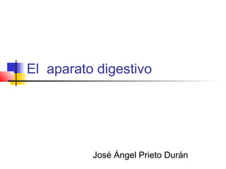 El aparato digestivo
José Ángel Prieto Durán
 