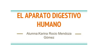 EL APARATO DIGESTIVO
HUMANO
Alumna:Karina Rocio Mendoza
Gòmez
 