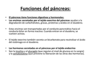 Funciones del páncreas:
• El páncreas tiene funciones digestivas y hormonales:
• Las enzimas secretadas por el tejido exocrino del páncreas ayudan a la
degradación de carbohidratos, grasas, proteínas y ácidos en el duodeno.
• Estas enzimas son transportadas por el conducto pancreático hacia el
conducto biliar en forma inactiva. Cuando entran en el duodeno, se
vuelven activas.
• El tejido exocrino también secreta un bicarbonato para neutralizar el ácido
del estómago en el duodeno.
• Las hormonas secretadas en el páncreas por el tejido endocrino
• Son la insulina y el glucagón (que regulan el nivel de glucosa en la sangre)
y la somatostatina (que previene la liberación de las otras dos hormonas).
 