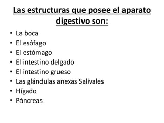 Las estructuras que posee el aparato
digestivo son:
• La boca
• El esófago
• El estómago
• El intestino delgado
• El intestino grueso
• Las glándulas anexas Salivales
• Hígado
• Páncreas
 