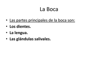 La Boca
• Las partes principales de la boca son:
• Los dientes.
• La lengua.
• Las glándulas salivales.
 