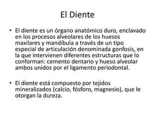 El Diente
• El diente es un órgano anatómico duro, enclavado
en los procesos alveolares de los huesos
maxilares y mandíbula a través de un tipo
especial de articulación denominada gonfosis, en
la que intervienen diferentes estructuras que lo
conforman: cemento dentario y hueso alveolar
ambos unidos por el ligamento periodontal.
• El diente está compuesto por tejidos
mineralizados (calcio, fósforo, magnesio), que le
otorgan la dureza.
 