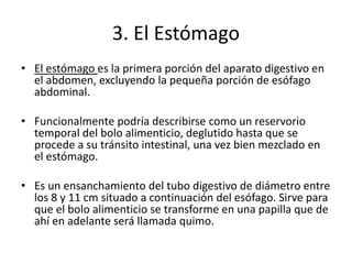 3. El Estómago
• El estómago es la primera porción del aparato digestivo en
el abdomen, excluyendo la pequeña porción de esófago
abdominal.
• Funcionalmente podría describirse como un reservorio
temporal del bolo alimenticio, deglutido hasta que se
procede a su tránsito intestinal, una vez bien mezclado en
el estómago.
• Es un ensanchamiento del tubo digestivo de diámetro entre
los 8 y 11 cm situado a continuación del esófago. Sirve para
que el bolo alimenticio se transforme en una papilla que de
ahí en adelante será llamada quimo.
 