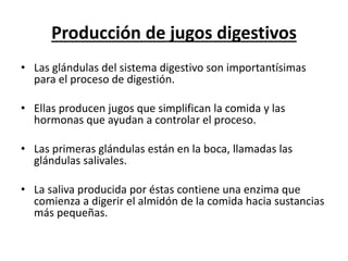 Producción de jugos digestivos
• Las glándulas del sistema digestivo son importantísimas
para el proceso de digestión.
• Ellas producen jugos que simplifican la comida y las
hormonas que ayudan a controlar el proceso.
• Las primeras glándulas están en la boca, llamadas las
glándulas salivales.
• La saliva producida por éstas contiene una enzima que
comienza a digerir el almidón de la comida hacia sustancias
más pequeñas.
 