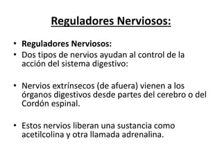 Reguladores Nerviosos:
• Reguladores Nerviosos:
• Dos tipos de nervios ayudan al control de la
acción del sistema digestivo:
• Nervios extrínsecos (de afuera) vienen a los
órganos digestivos desde partes del cerebro o del
Cordón espinal.
• Estos nervios liberan una sustancia como
acetilcolina y otra llamada adrenalina.
 